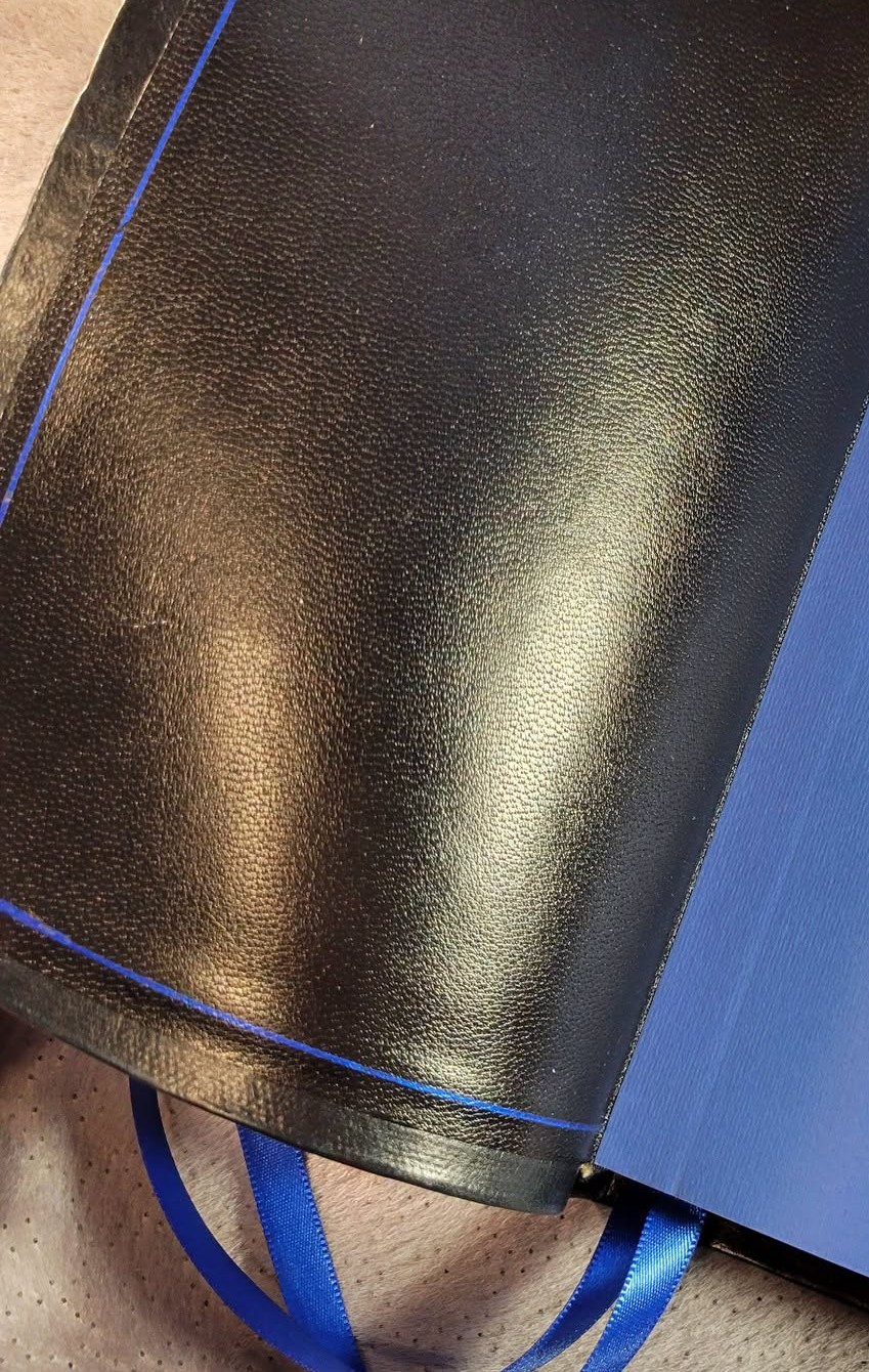Interior liner tooled lines shown in blue